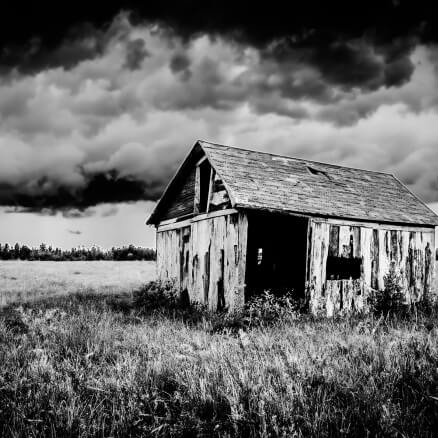 Trumpet Shed_BW_from Web